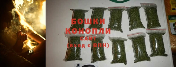 молекула духа Покров