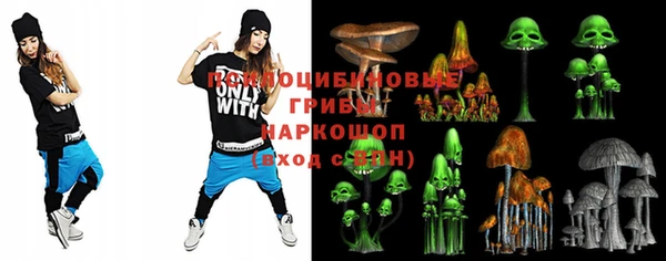 ECSTASY Вяземский