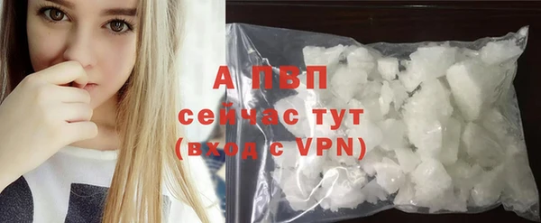 ECSTASY Вяземский