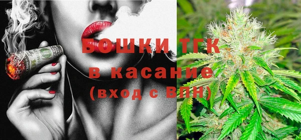 ECSTASY Вяземский
