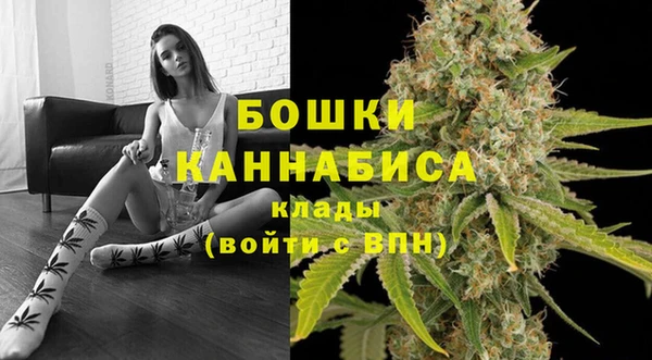 ECSTASY Вяземский