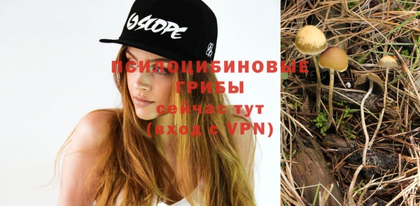 СК Вязники